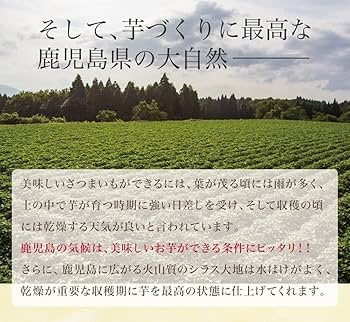 丹頂　超熟成シルクスイート 20キロ 楽天市場】シルク サテン ハイグレード 30匁 生地 布 ナチュラル